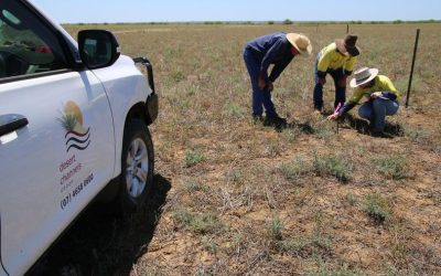 New grass seeding trial to ‘fast-track’ recovery