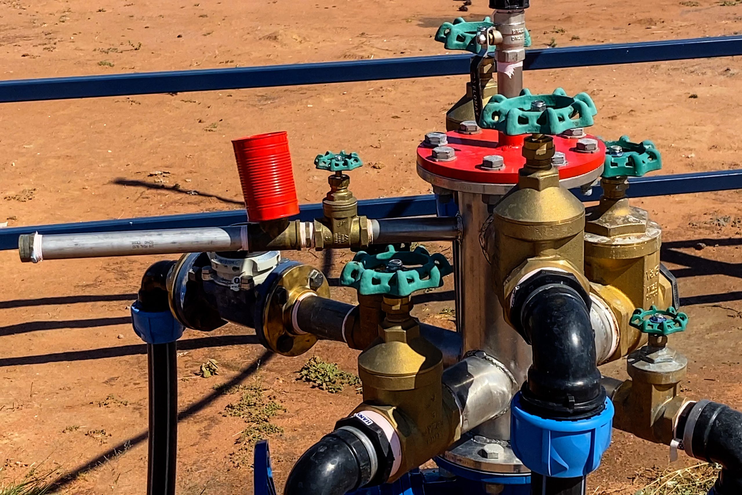 BORE HEAD #1 Gidyea encroachment can be tricky to manage in Western Queensland.