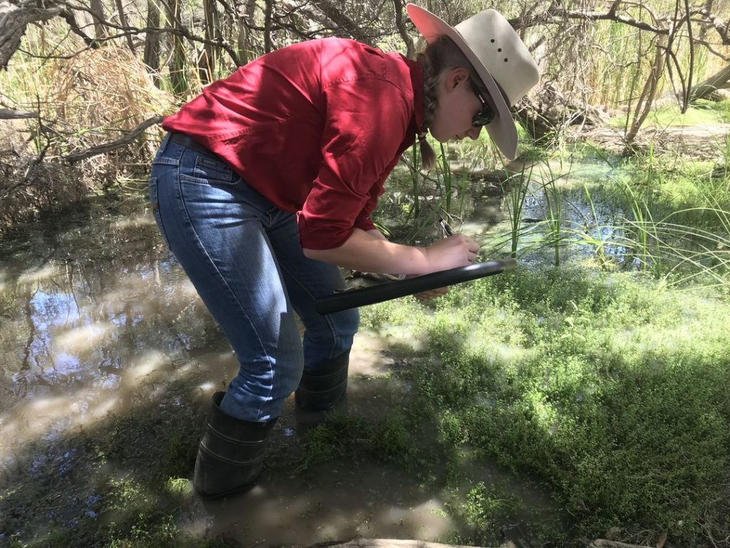 A DCQ officer stands in the shallow waters of an emerging spring as she monitors and takes notes on a clipboard.