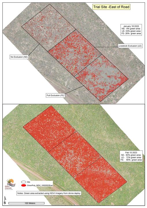 Drone analysis results