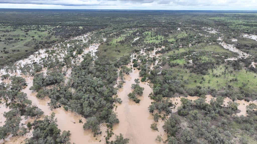 A murky clay-stained river flows among lush green tree groves in Western Queensland.