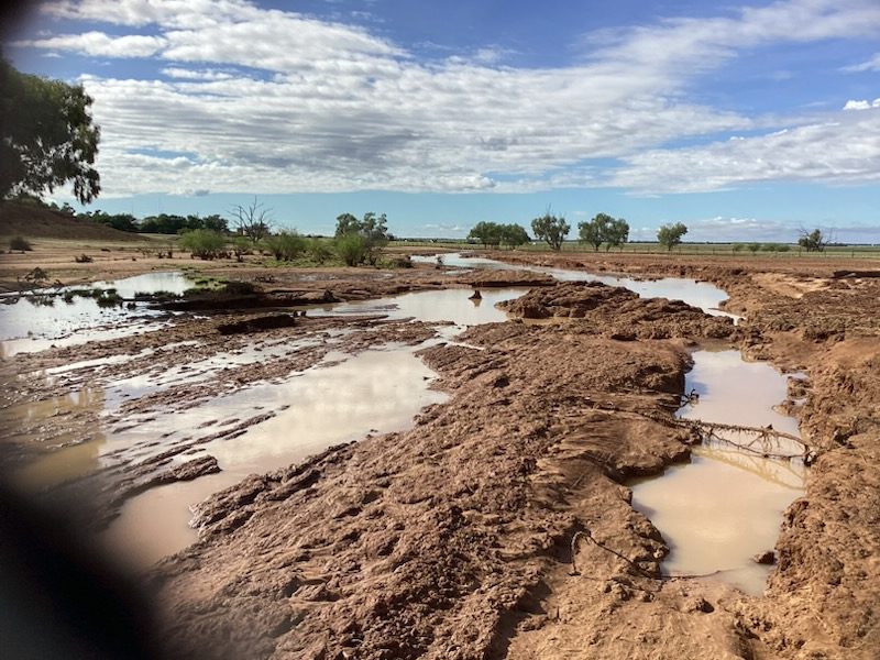 Substantial gully erosion requiring significant earthworks has removed significant cubic metres of soil along Acheron Creek.
