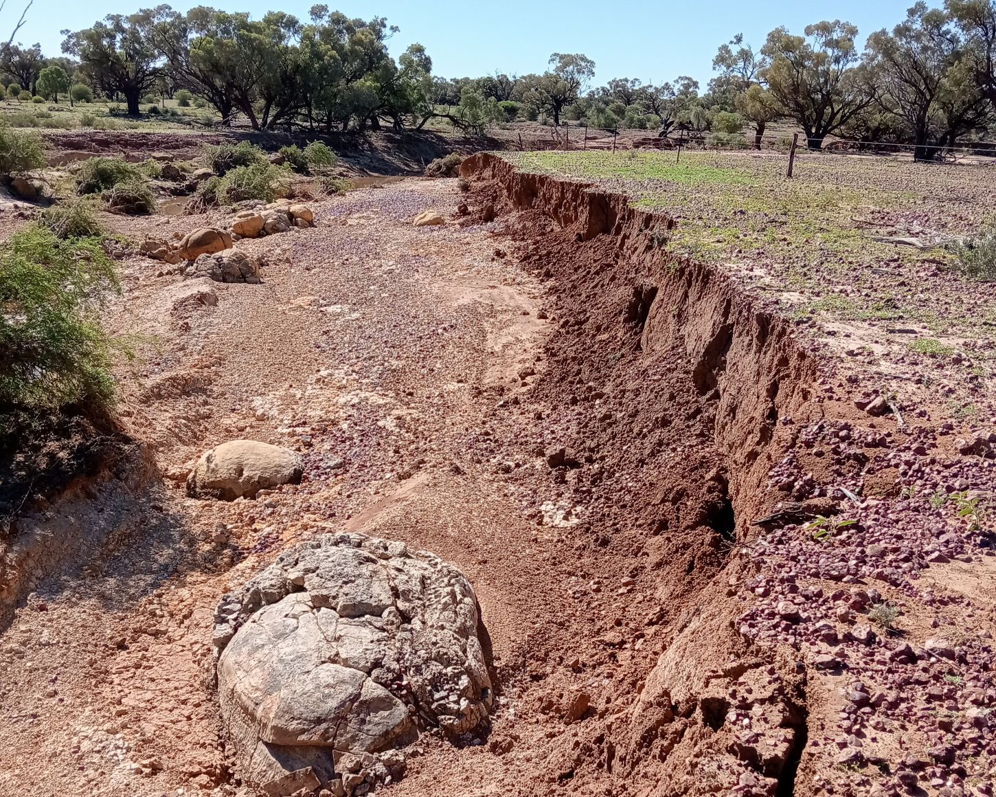 A small creek channel made substantially larger through erosion near Yaraka.