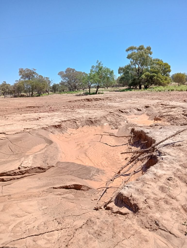A freshly-eroded gully in Western Queensland that eventually dried out.