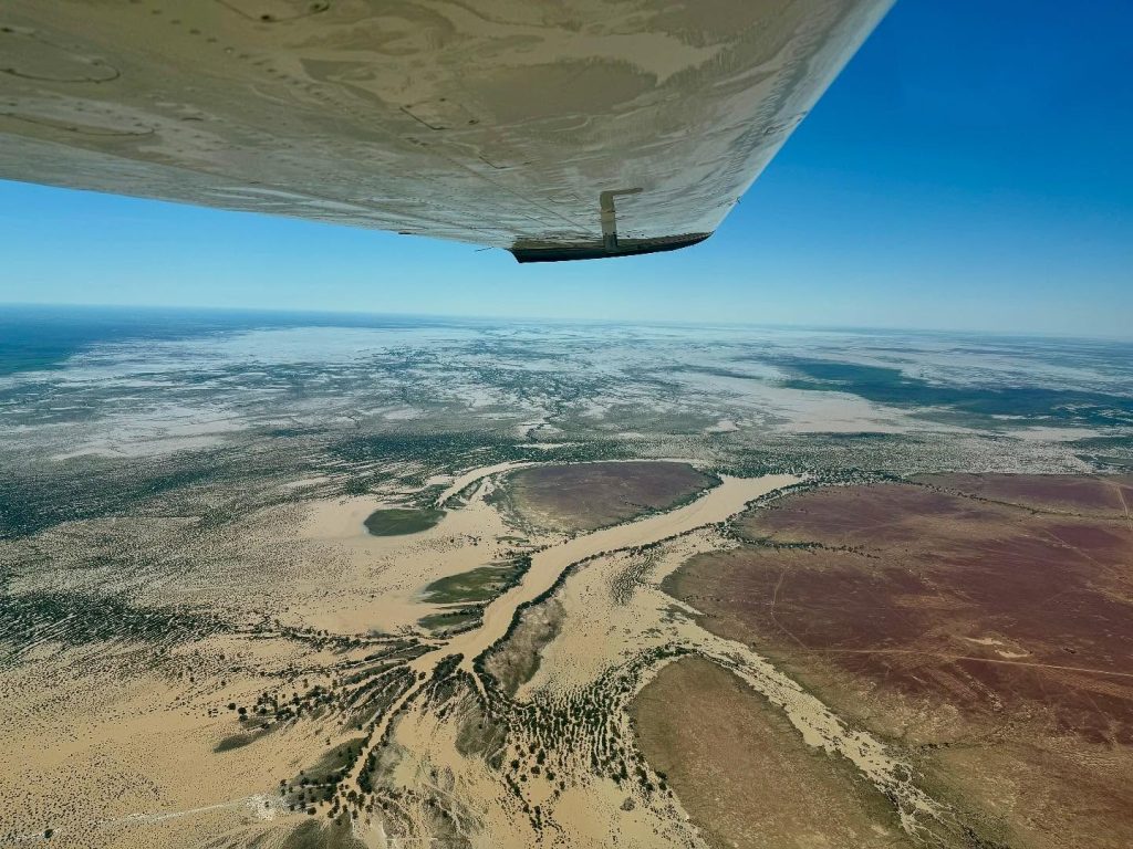 Rich, earthy hues as floodwater slowly creeps through treelines towards Lake Eyre.