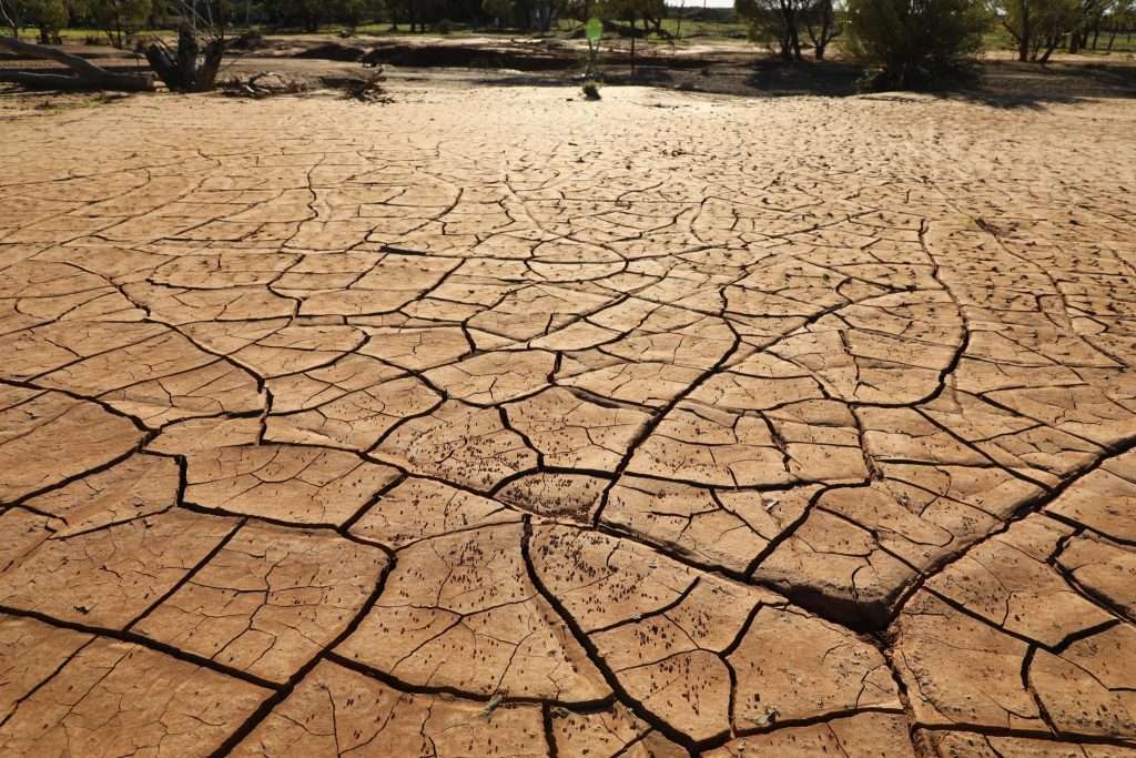 Mud dumped on pasture by floodwaters cracks and splits into strange patterns in the heat of Outback sun.