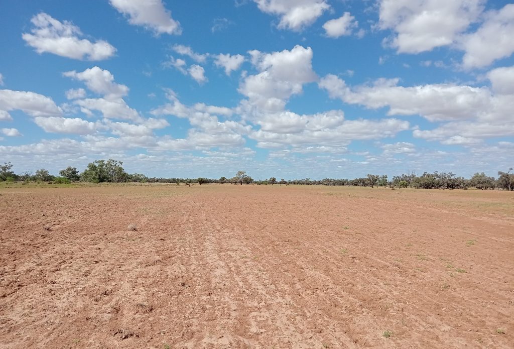 Dusty, dried-out floodplain shows deep ridges where topsoil has been stripped and country has been scoured.