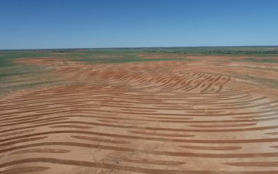 Land Condition