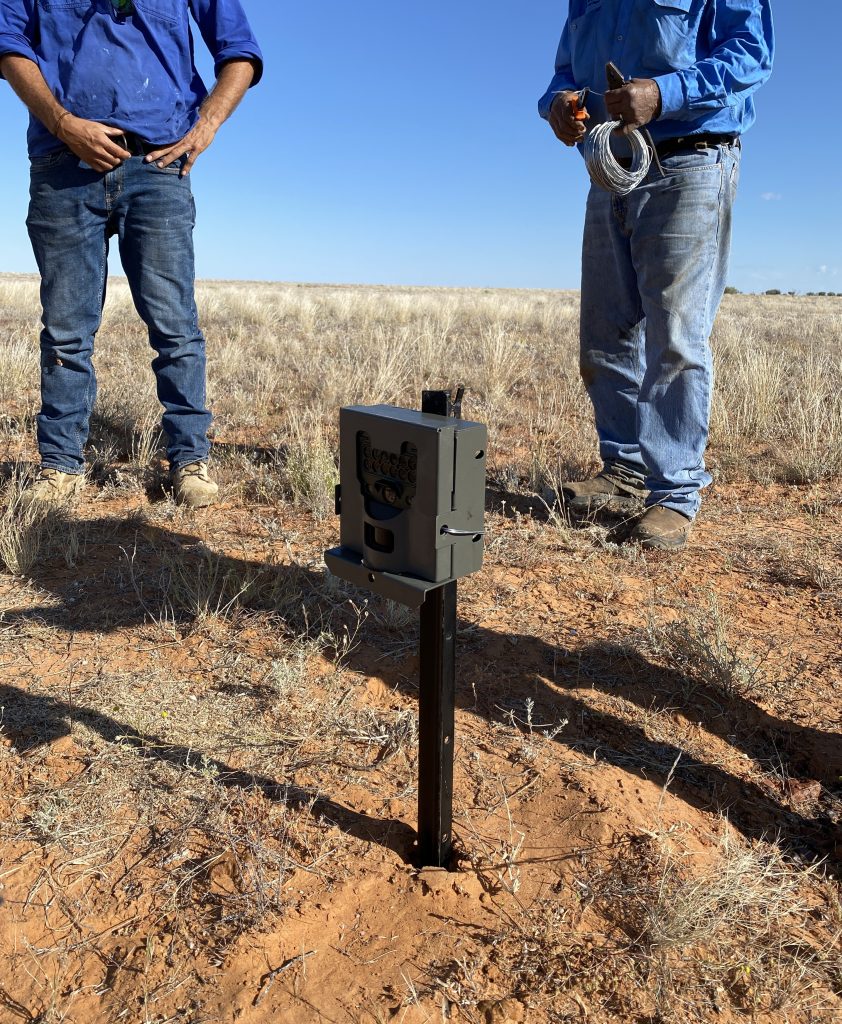 Two landholders inspect a camera poking up from harsh clay soil in Far Western Queensland