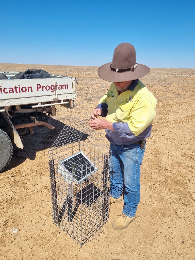 A DCQ staff member tweaks the mesh frame of a solar-powered acoustic recorder in the barren outback of Western Queensland.