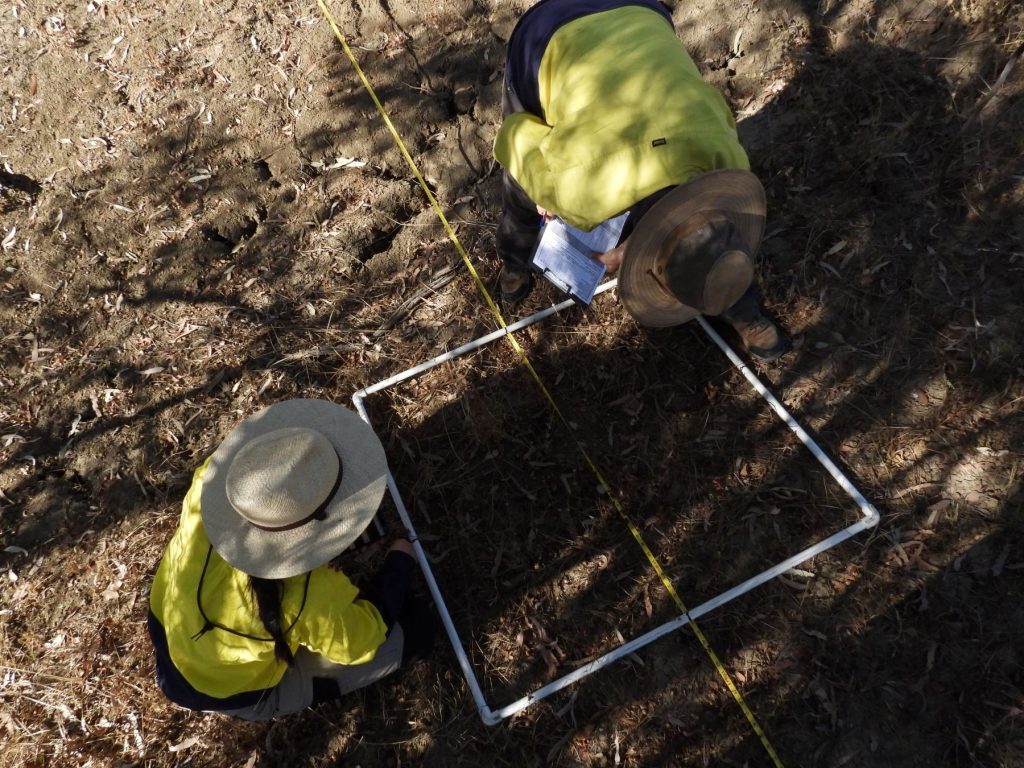 Two women in high-vis workshirts inspect a poly pipe square across bare leaf litter.