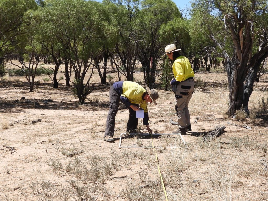 Two women in high vis inspect a poly pipe square in front of trees.