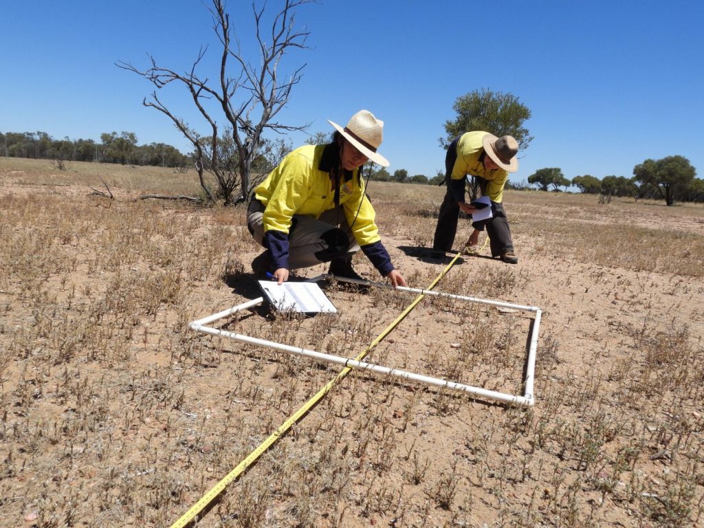 A white square on top of a tape measure in Outback Queensland, as one person holds the square in place and the other holds the tape measure.