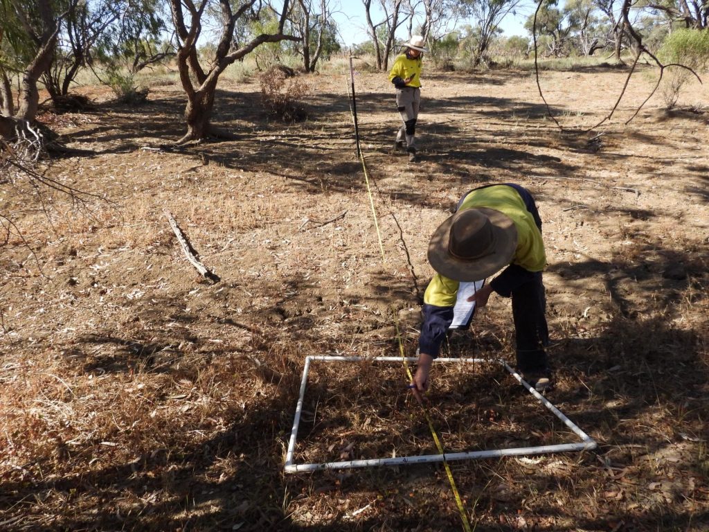 A person a high-vis workshirt holds a tape measure across a poly-pipe square on the ground in Outback Queensland.