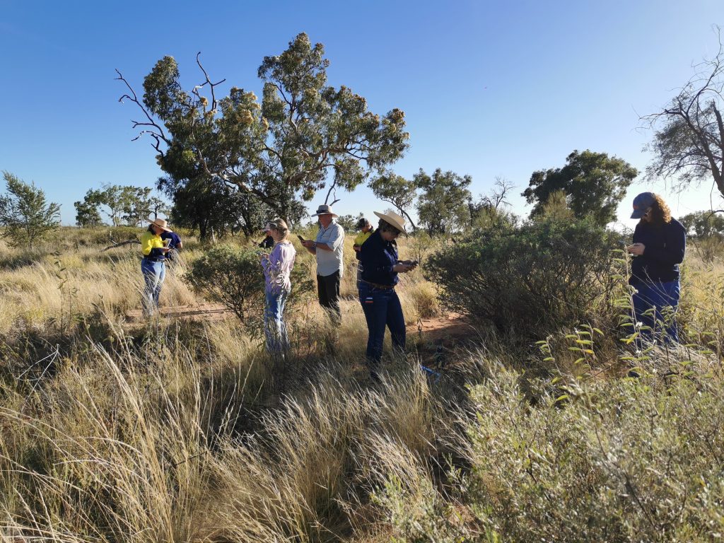 Desert Channels in field monitoring. 